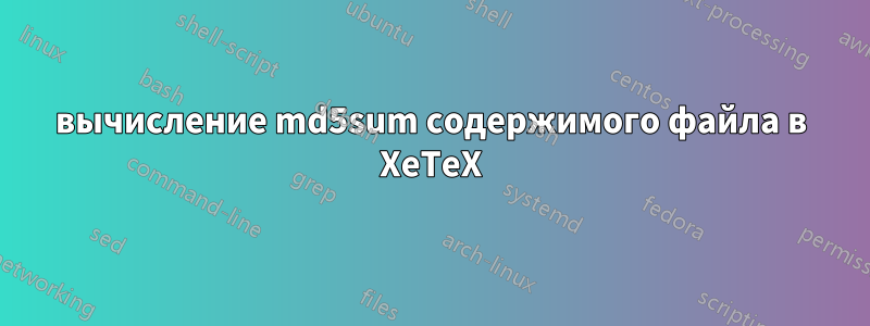 вычисление md5sum содержимого файла в XeTeX