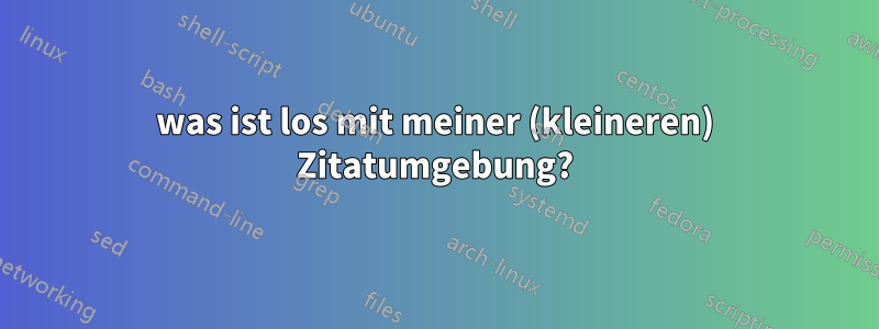 was ist los mit meiner (kleineren) Zitatumgebung?