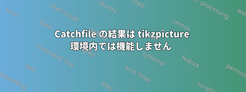 Catchfile の結果は tikzpicture 環境内では機能しません 