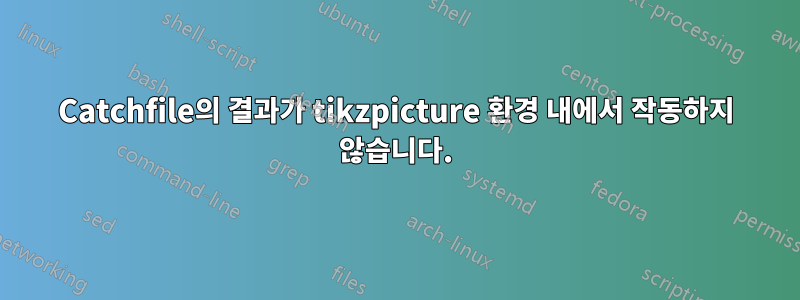 Catchfile의 결과가 tikzpicture 환경 내에서 작동하지 않습니다.