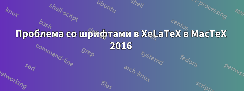 Проблема со шрифтами в XeLaTeX в MacTeX 2016