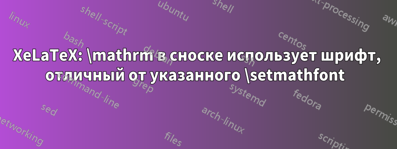 XeLaTeX: \mathrm в сноске использует шрифт, отличный от указанного \setmathfont 