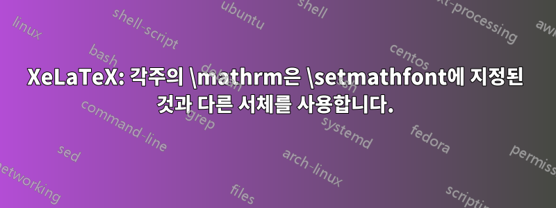 XeLaTeX: 각주의 \mathrm은 \setmathfont에 지정된 것과 다른 서체를 사용합니다.