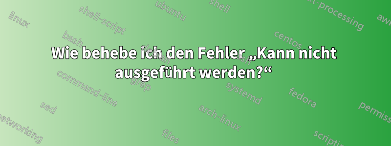 Wie behebe ich den Fehler „Kann nicht ausgeführt werden?“