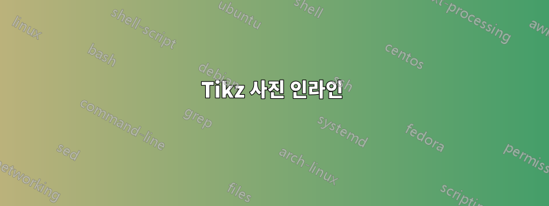 Tikz 사진 인라인