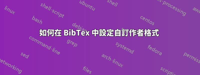 如何在 BibTex 中設定自訂作者格式