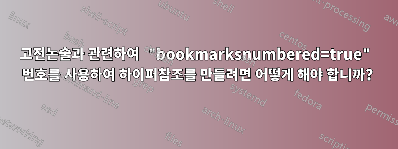 고전논술과 관련하여 "bookmarksnumbered=true" 번호를 사용하여 하이퍼참조를 만들려면 어떻게 해야 합니까?