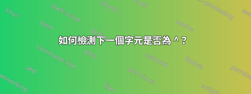 如何檢測下一個字元是否為 ^？ 