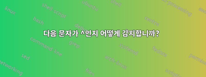 다음 문자가 ^인지 어떻게 감지합니까? 