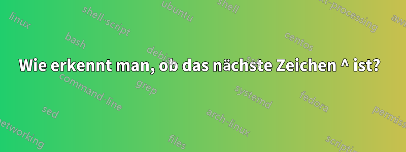 Wie erkennt man, ob das nächste Zeichen ^ ist? 