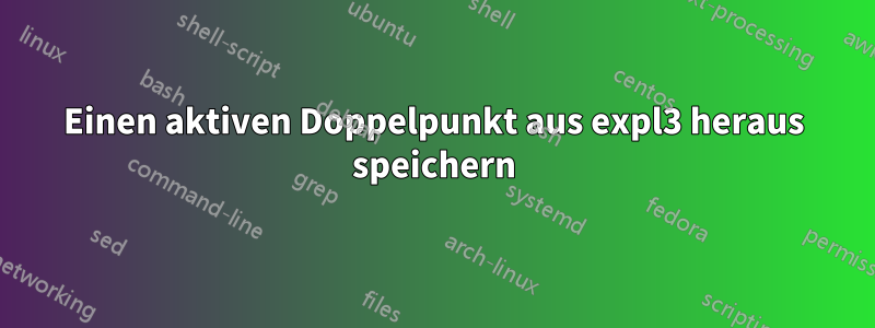 Einen aktiven Doppelpunkt aus expl3 heraus speichern