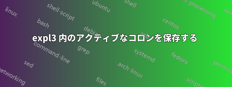 expl3 内のアクティブなコロンを保存する