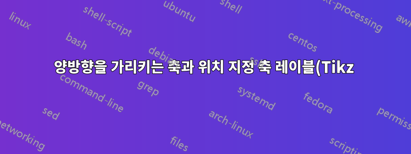 양방향을 가리키는 축과 위치 지정 축 레이블(Tikz). AD-AS 다이어그램