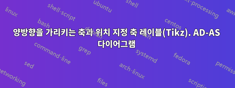 양방향을 가리키는 축과 위치 지정 축 레이블(Tikz). AD-AS 다이어그램