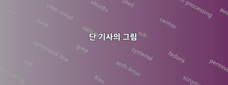 2단 기사의 그림