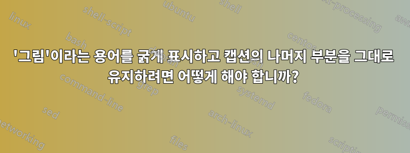 '그림'이라는 용어를 굵게 표시하고 캡션의 나머지 부분을 그대로 유지하려면 어떻게 해야 합니까?