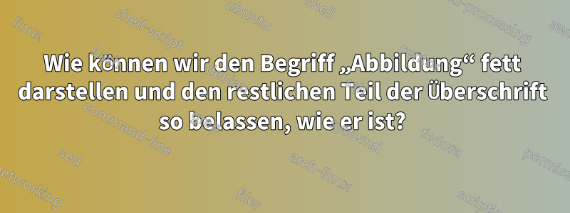 Wie können wir den Begriff „Abbildung“ fett darstellen und den restlichen Teil der Überschrift so belassen, wie er ist?