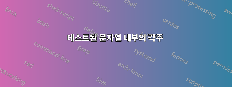 테스트된 문자열 내부의 각주