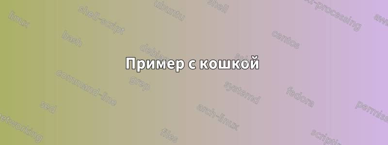 Пример с кошкой