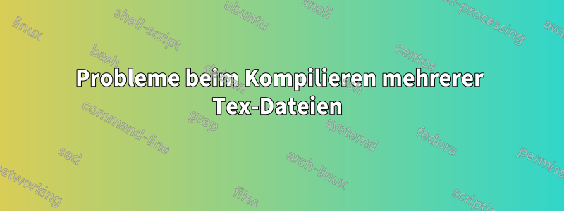 Probleme beim Kompilieren mehrerer Tex-Dateien 