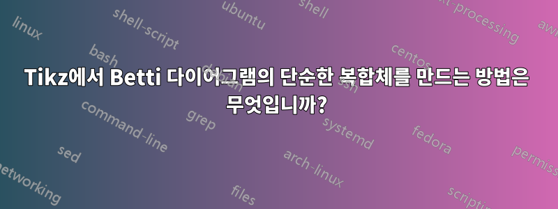 Tikz에서 Betti 다이어그램의 단순한 복합체를 만드는 방법은 무엇입니까?