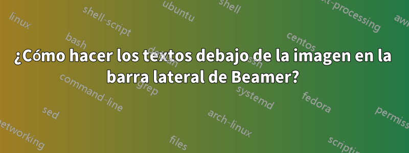¿Cómo hacer los textos debajo de la imagen en la barra lateral de Beamer?