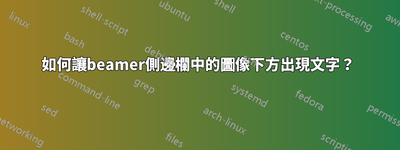 如何讓beamer側邊欄中的圖像下方出現文字？
