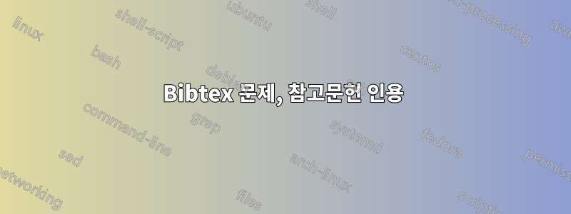 Bibtex 문제, 참고문헌 인용