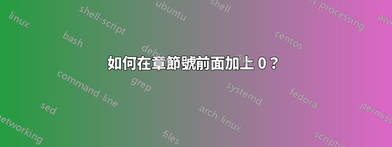 如何在章節號前面加上 0？