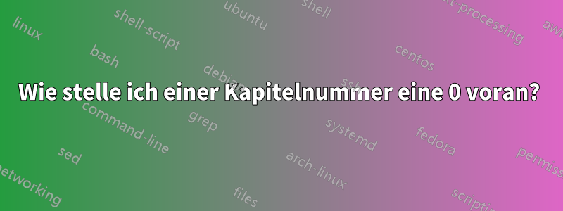 Wie stelle ich einer Kapitelnummer eine 0 voran?