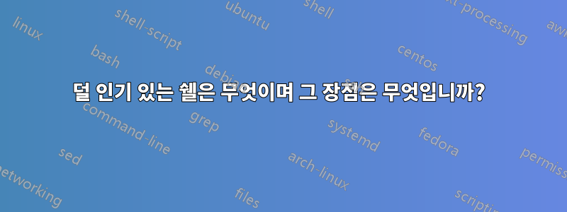 덜 인기 있는 쉘은 무엇이며 그 장점은 무엇입니까? 
