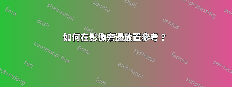 如何在影像旁邊放置參考？