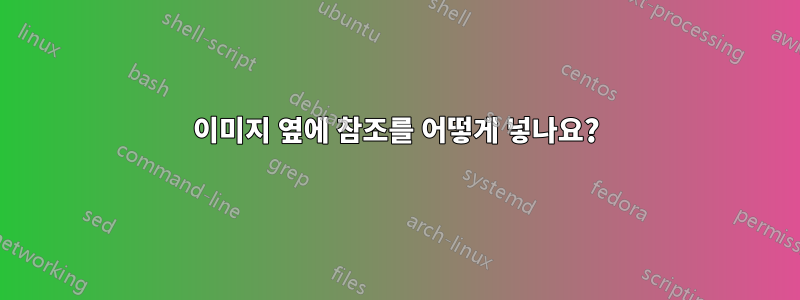 이미지 옆에 참조를 어떻게 넣나요?