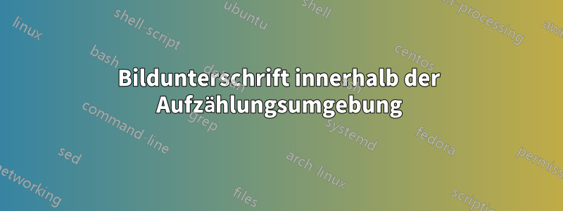 Bildunterschrift innerhalb der Aufzählungsumgebung
