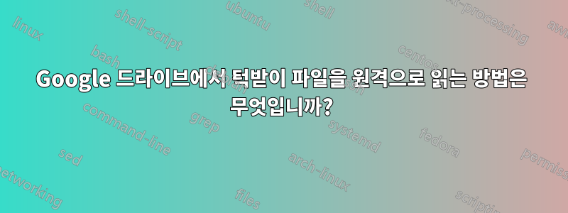 Google 드라이브에서 턱받이 파일을 원격으로 읽는 방법은 무엇입니까?