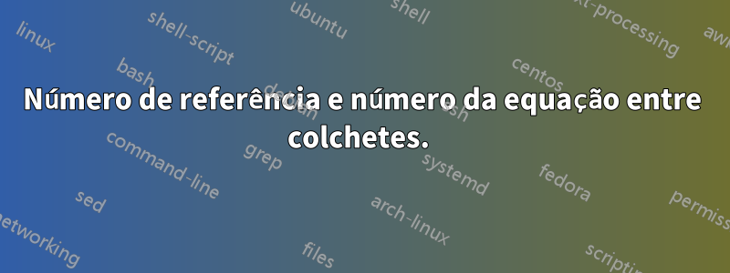 Número de referência e número da equação entre colchetes. 