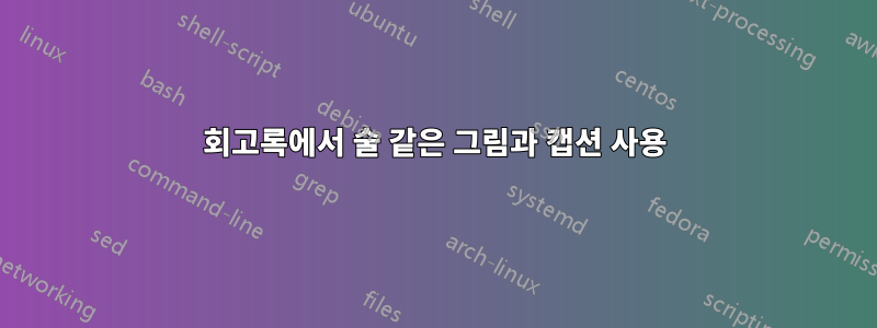 회고록에서 술 같은 그림과 캡션 사용