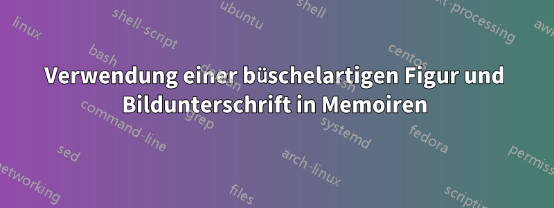 Verwendung einer büschelartigen Figur und Bildunterschrift in Memoiren