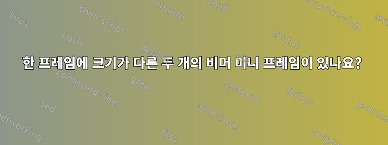 한 프레임에 크기가 다른 두 개의 비머 미니 프레임이 있나요?