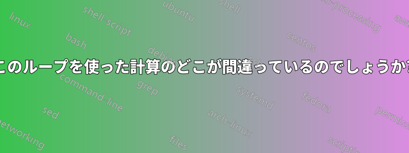 このループを使った計算のどこが間違っているのでしょうか?