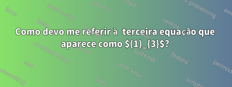 Como devo me referir à terceira equação que aparece como $(1)_{3}$?