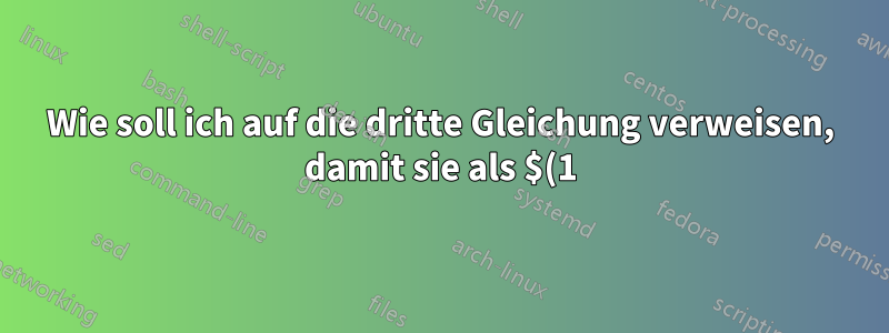 Wie soll ich auf die dritte Gleichung verweisen, damit sie als $(1)_{3}$ erscheint?