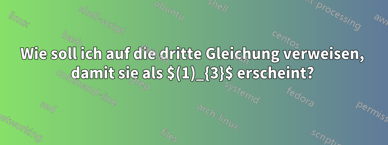 Wie soll ich auf die dritte Gleichung verweisen, damit sie als $(1)_{3}$ erscheint?
