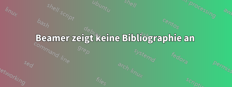 Beamer zeigt keine Bibliographie an