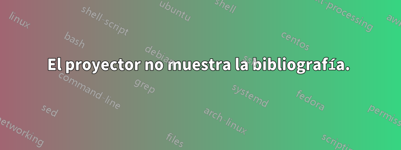El proyector no muestra la bibliografía.