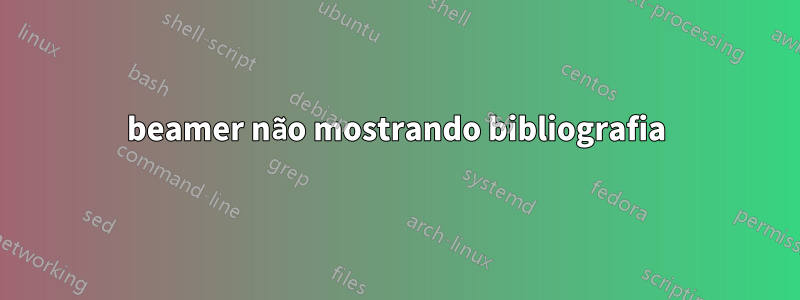 beamer não mostrando bibliografia