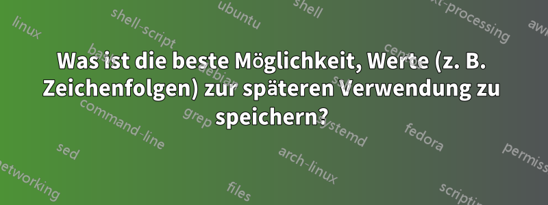Was ist die beste Möglichkeit, Werte (z. B. Zeichenfolgen) zur späteren Verwendung zu speichern?