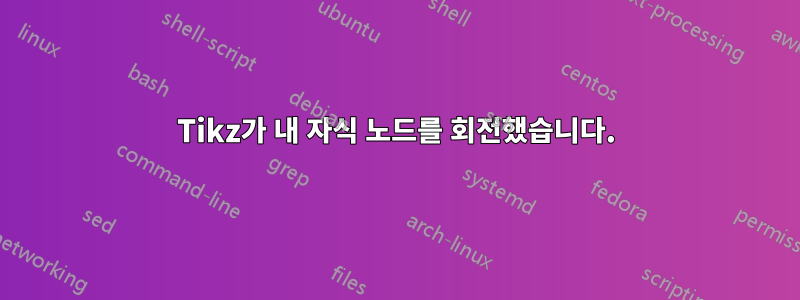 Tikz가 내 자식 노드를 회전했습니다.