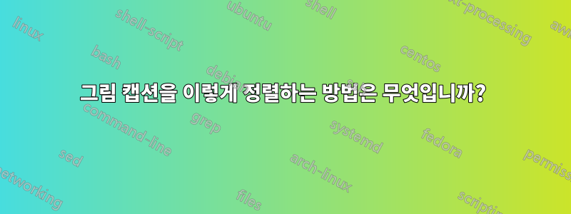그림 캡션을 이렇게 정렬하는 방법은 무엇입니까?