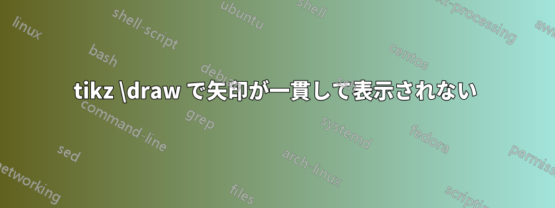 tikz \draw で矢印が一貫して表示されない